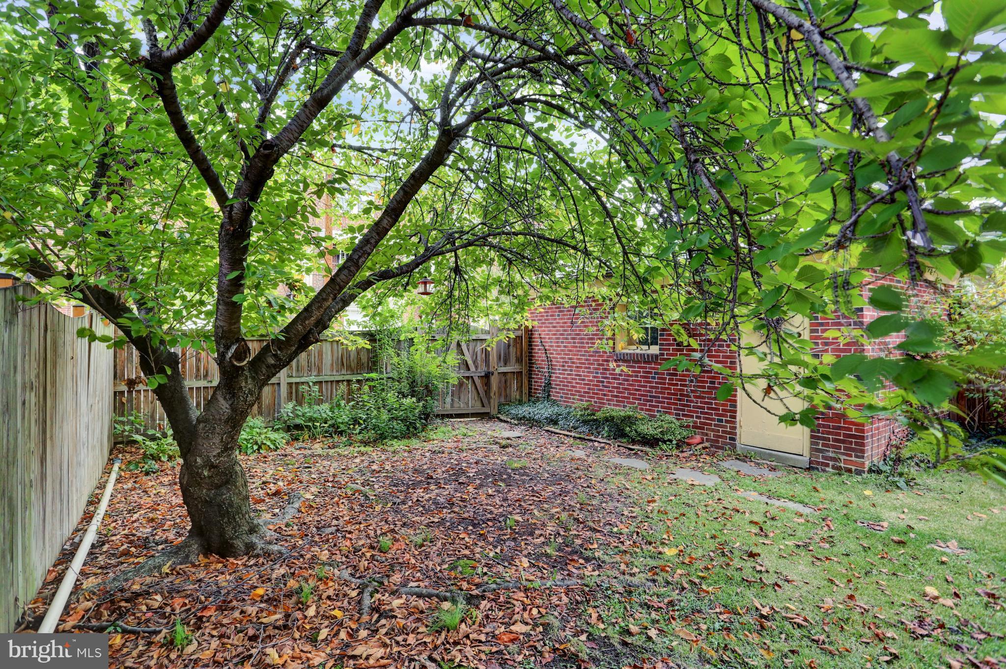 1528 Shadyside Road Baltimore, MD 21218 - Photo 27 of 27 View from deck onto lovely yard w/detached garage
