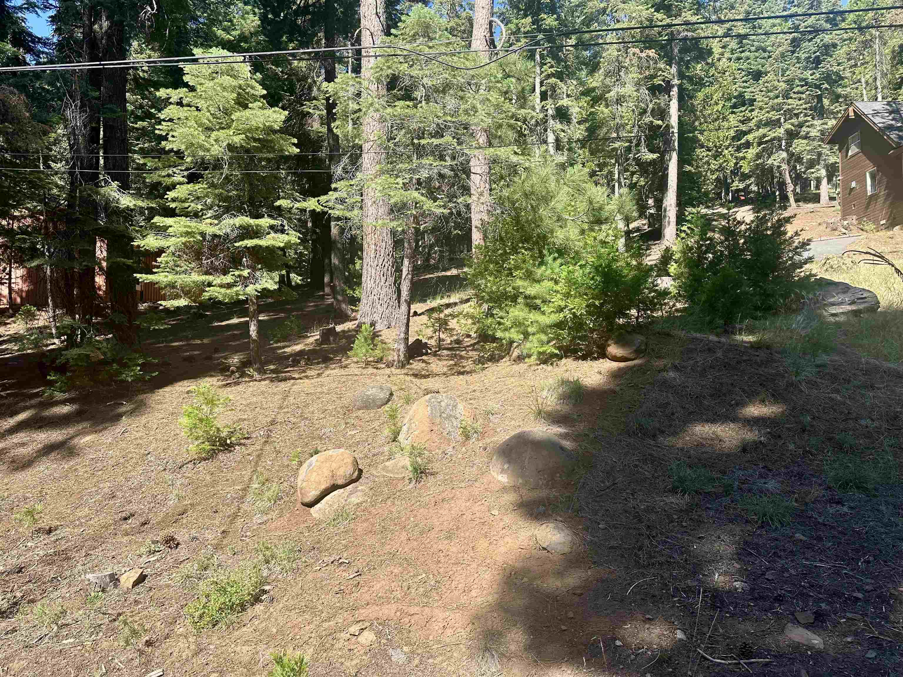 623 Cedar Canyon Road Lake Almanor, CA 96137 - Photo 3 of 4 a view of a pathway with a yard