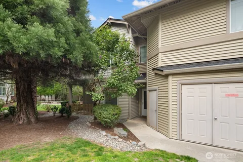 a view of backyard with potted plants and large tree