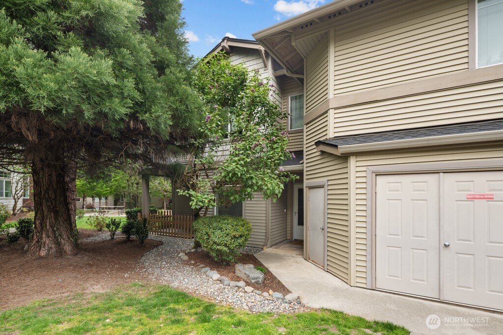 15325 Southeast 155th Place, Unit X1 Renton, WA 98058 - Photo 17 of 21 a view of backyard with potted plants and large tree