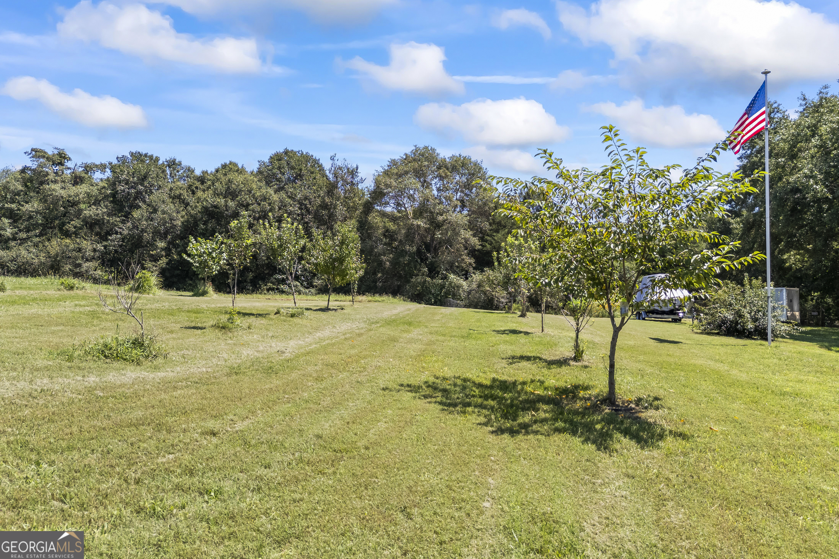 711 Shackelford Road Royston, GA 30662 - Photo 42 of 50 a view of a yard with a tree