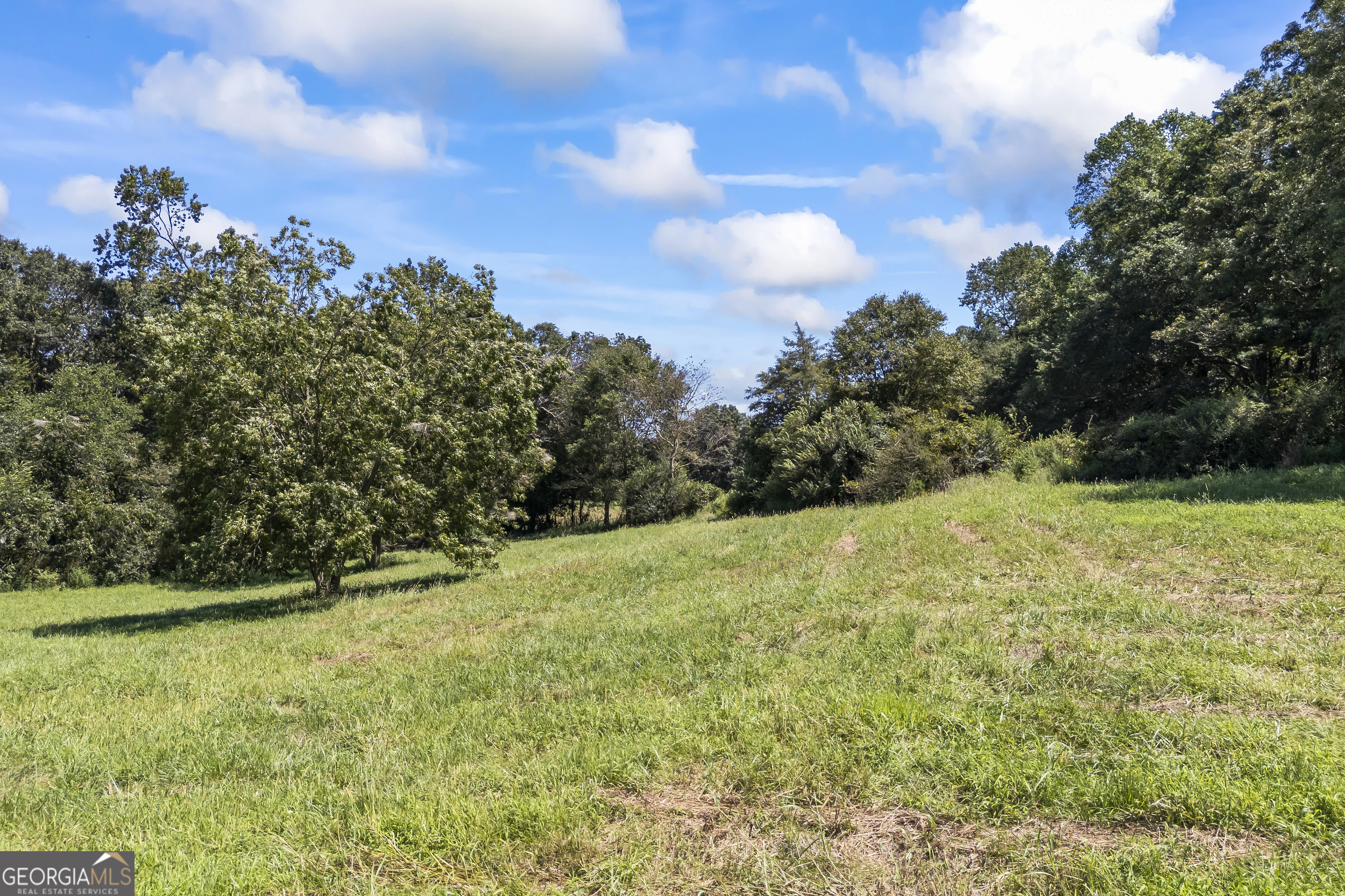 711 Shackelford Road Royston, GA 30662 - Photo 43 of 45