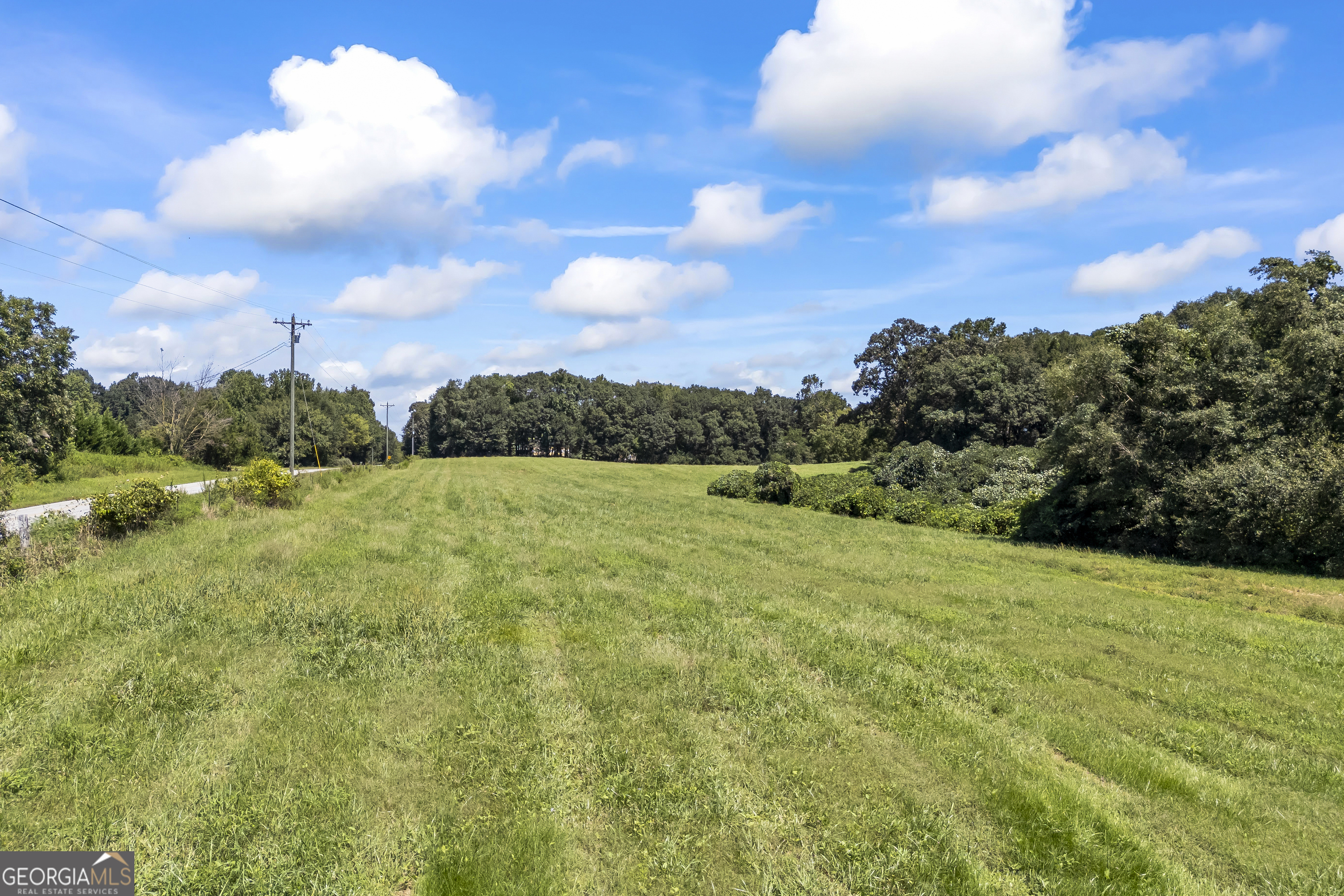 711 Shackelford Road Royston, GA 30662 - Photo 43 of 50 a view of a grassy field with trees in the background