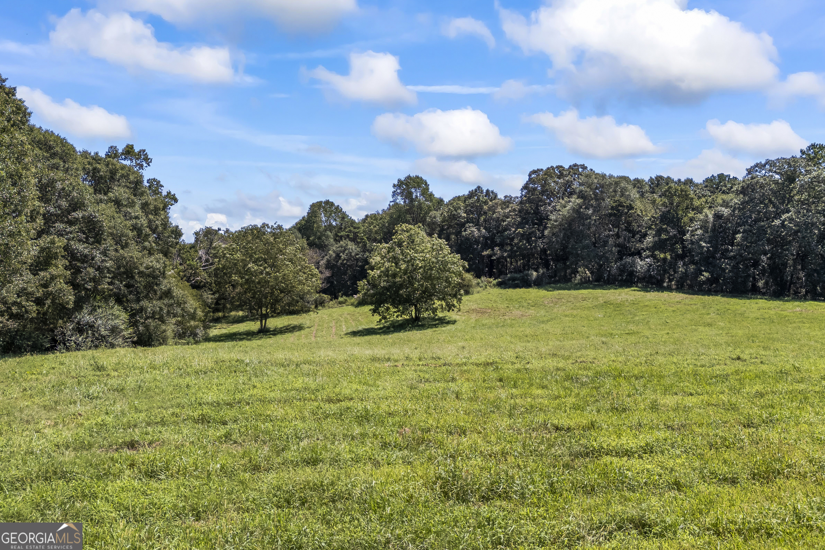 711 Shackelford Road Royston, GA 30662 - Photo 46 of 50 a view of a field with a trees in the background