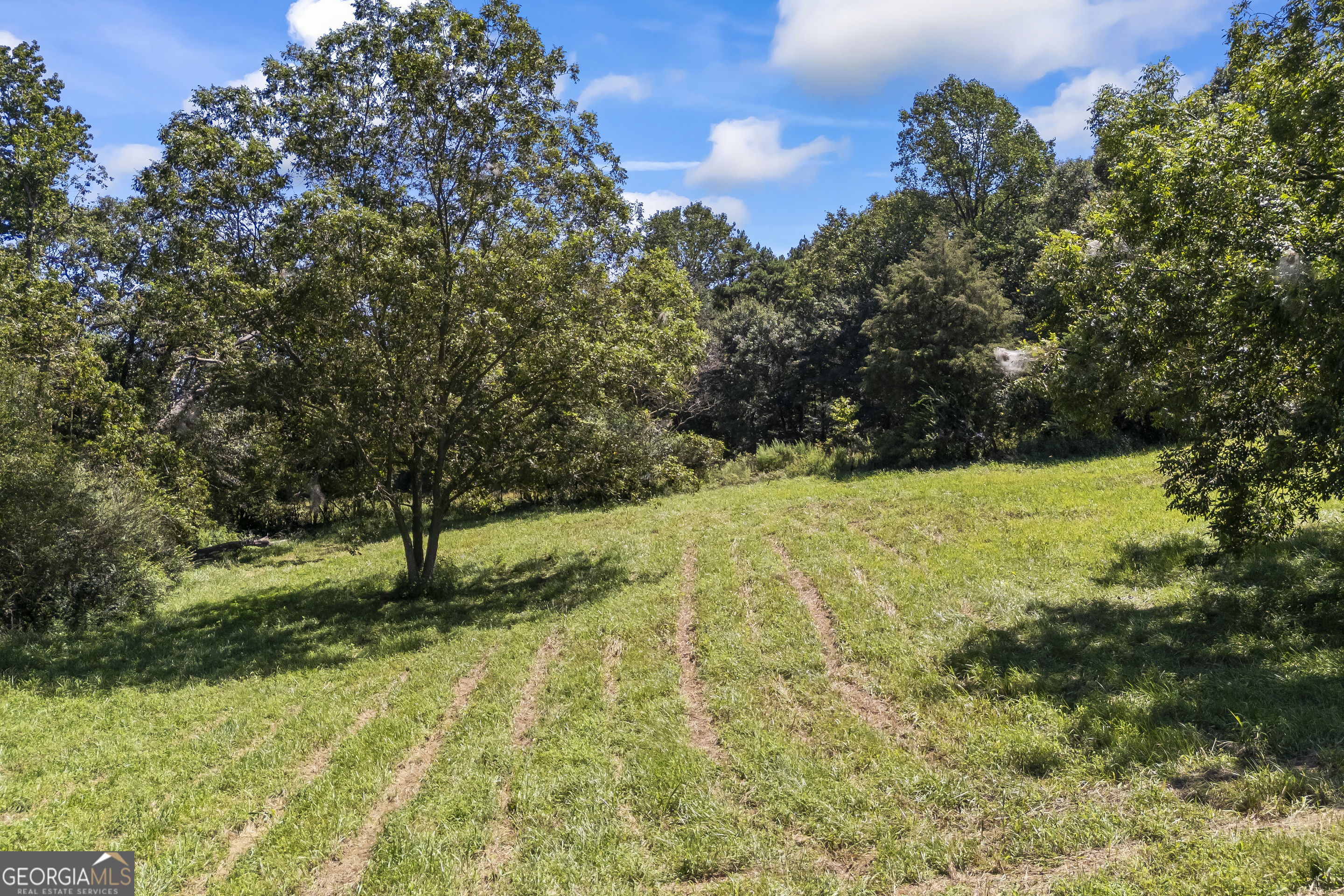 711 Shackelford Road Royston, GA 30662 - Photo 47 of 50 a view of yard with large trees
