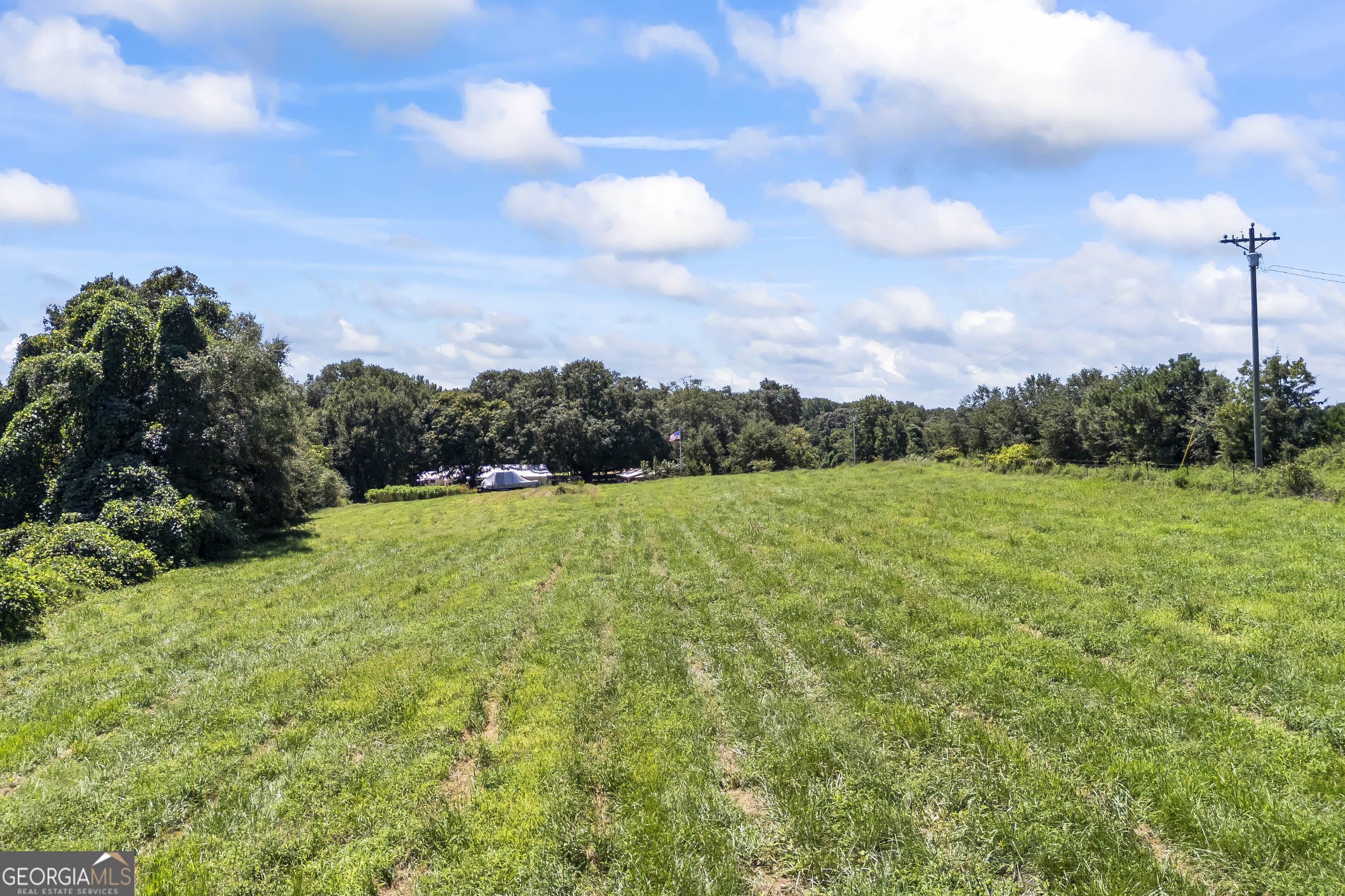 711 Shackelford Road Royston, GA 30662 - Photo 49 of 50 a view of a garden