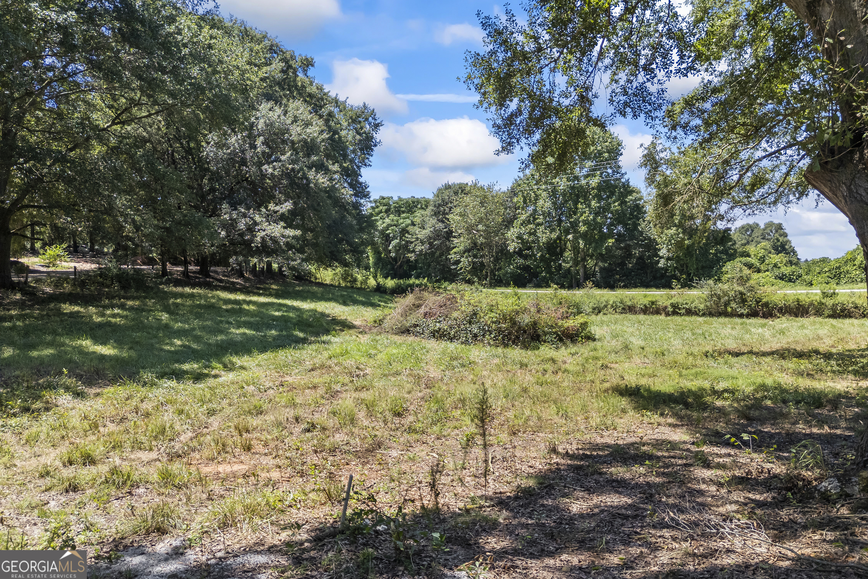 711 Shackelford Road Royston, GA 30662 - Photo 50 of 50 a view of a yard with a tree