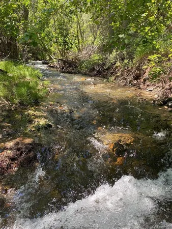 a view of a yard with plants and trees