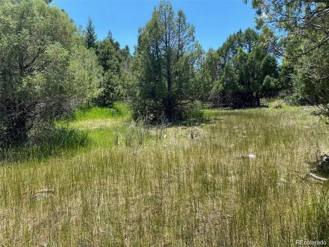 a view of swimming pool from a lake view