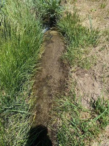 a view of a yard with plants and trees