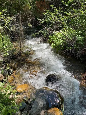 a close up of a plant in a garden