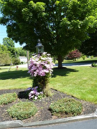 51 Cedarwood Road Hanover, MA 02339 - Photo 23 of 24 Gallery Image 23