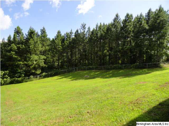 715 Isbell Road Odenville, AL 35120 - Photo 16 of 17