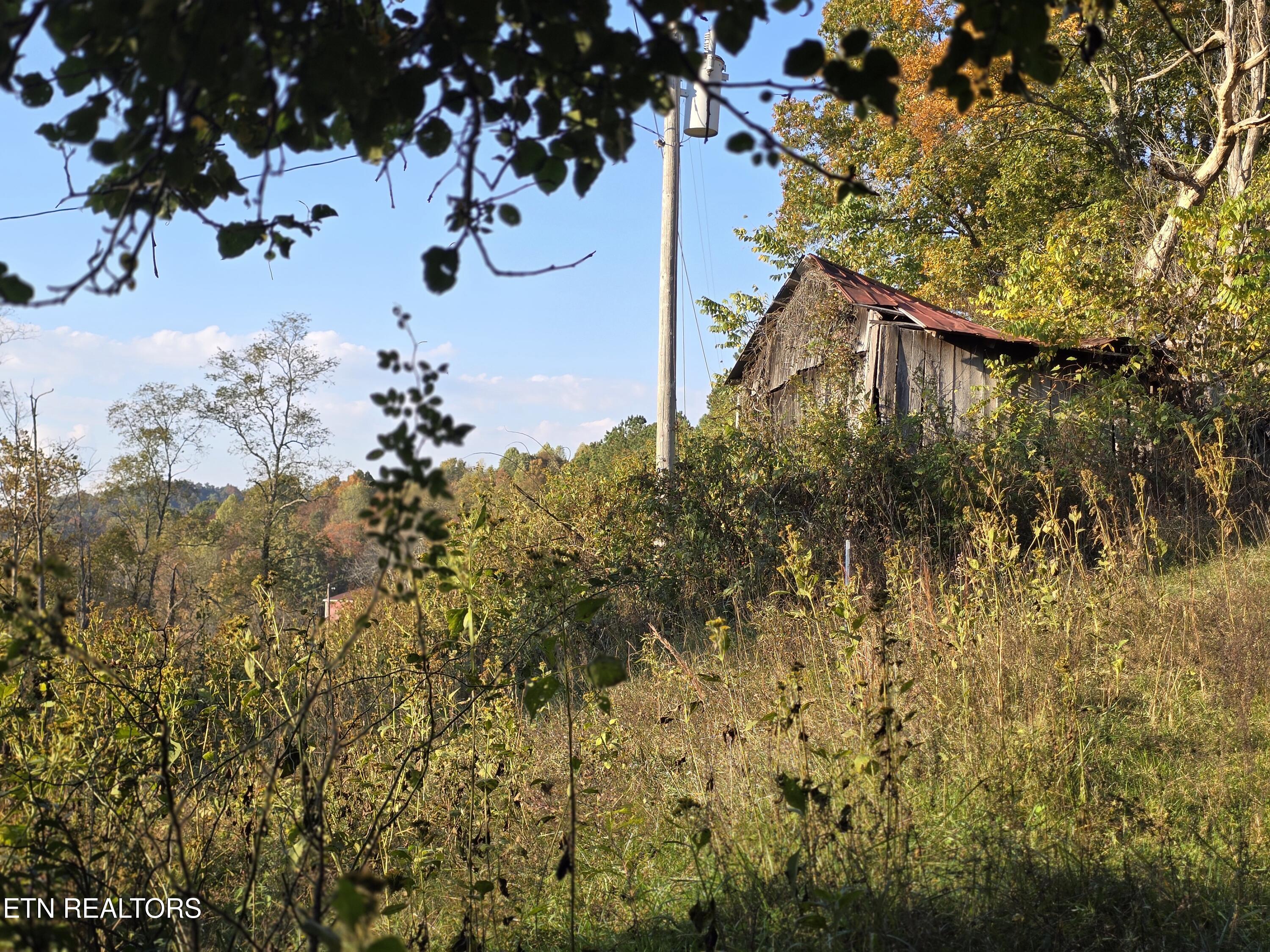 Tbd Copper Ridge Road Eidson, TN 37731 - Photo 38 of 49 20251018_170558