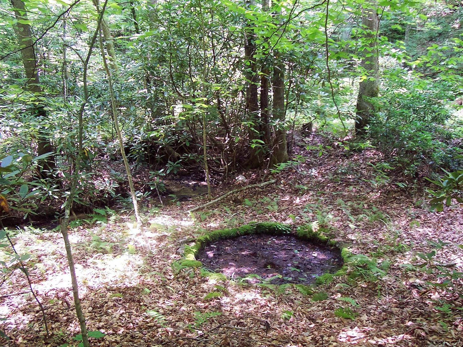 4236 Beech Timber Road Beattyville, KY 41311 - Photo 21 of 76 Photo 21