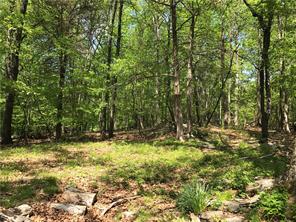11 Hack Green Road Pound Ridge, NY 10576 - Photo 1 of 1 a big yard with lots of green space and trees