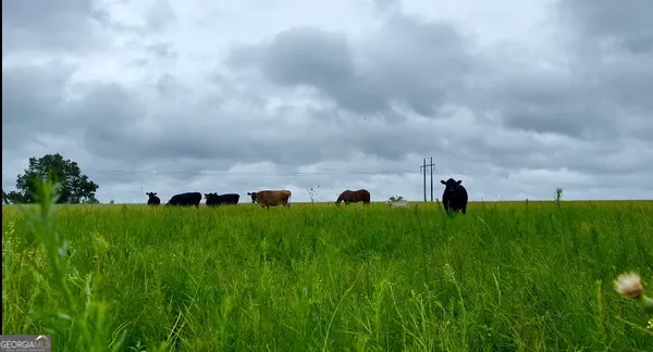 a view of a garden with a building in front of it