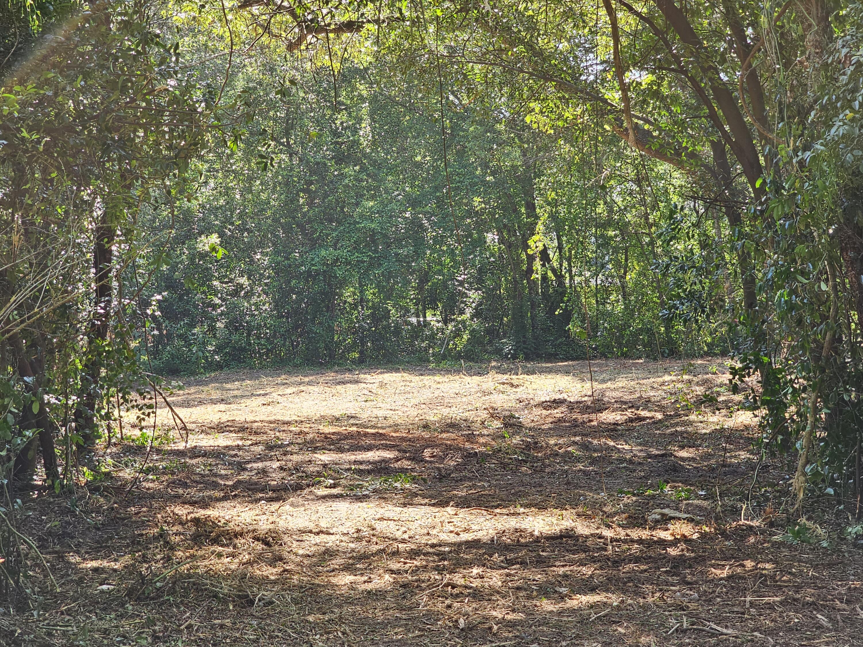 860 Lewis Road Sumter, SC 29154 - Photo 2 of 6 When Cleared