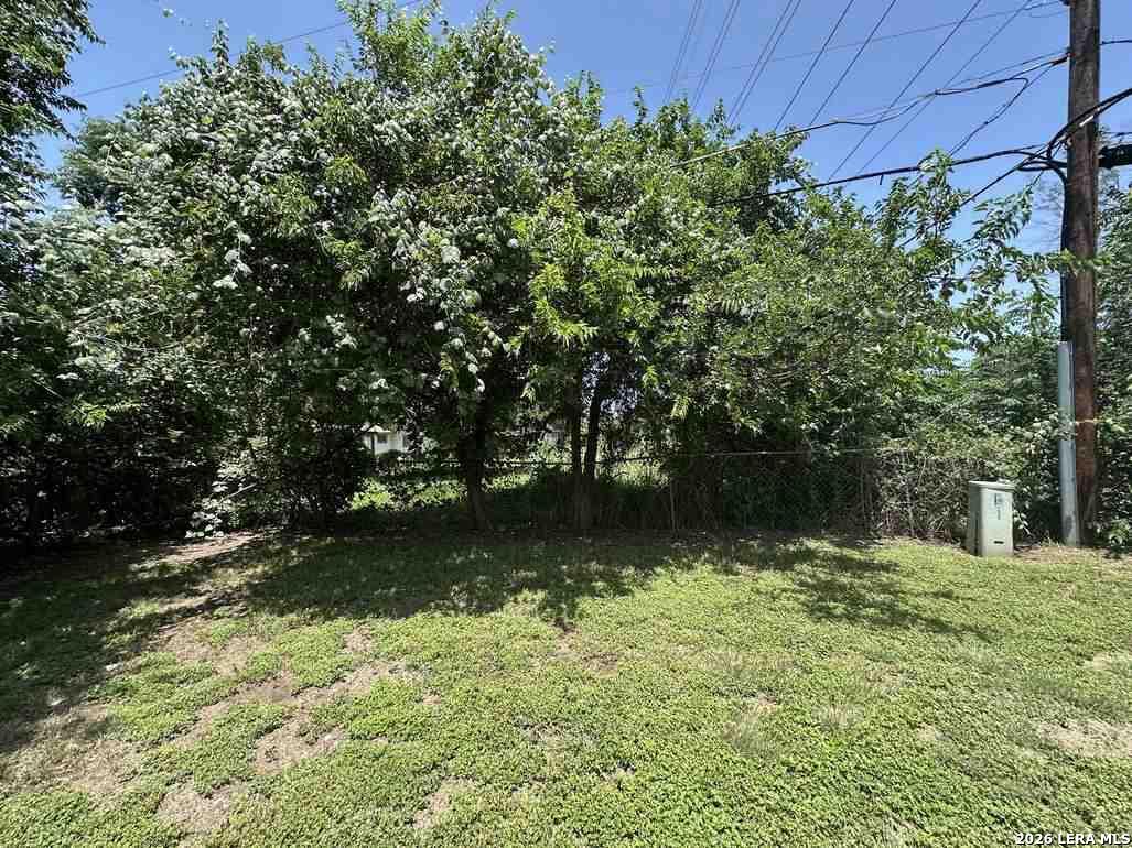 1533 Eichen Road New Braunfels, TX 78130 - Photo 12 of 24 a backyard of a house with lots of green space