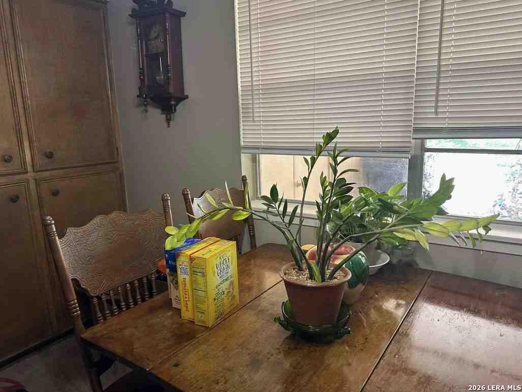1533 Eichen Road New Braunfels, TX 78130 - Photo 14 of 24 a dining room with furniture and a potted plant
