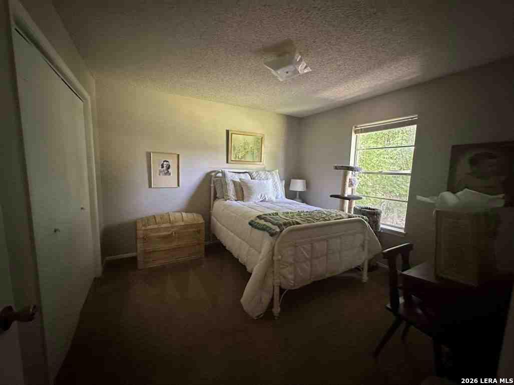 1533 Eichen Road New Braunfels, TX 78130 - Photo 21 of 24 a bedroom with a bed chair and window