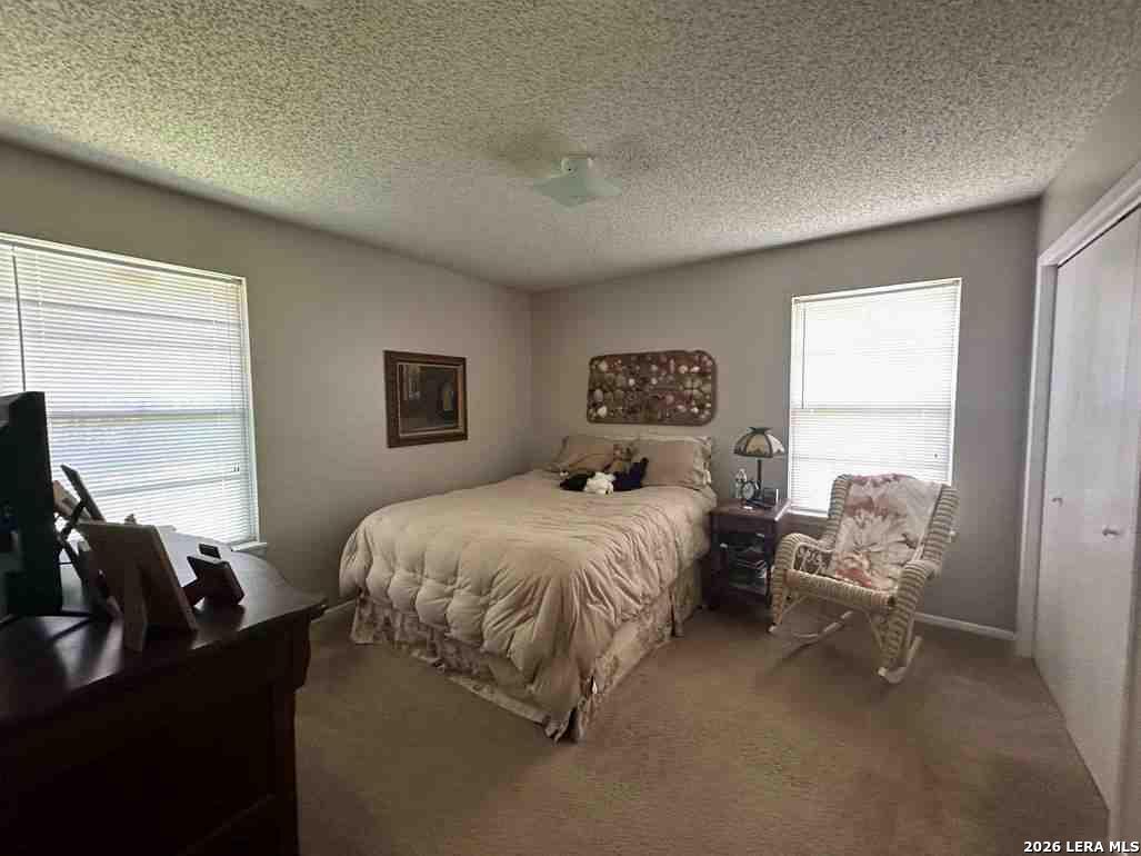 1533 Eichen Road New Braunfels, TX 78130 - Photo 22 of 24 a spacious bedroom with a bed chair and window