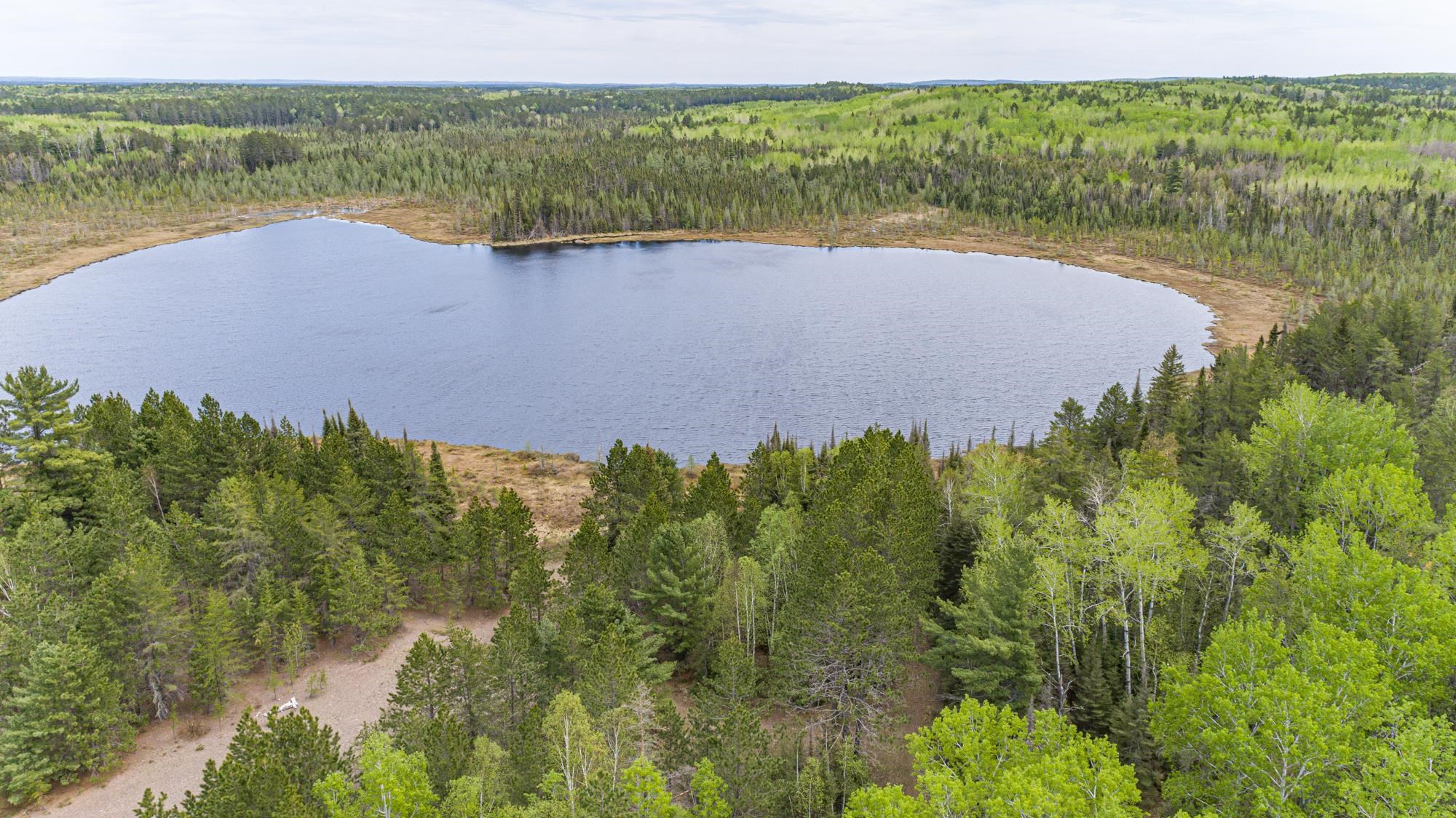 10350 Victor Lake Road Isabella, MN 55607 - Photo 13 of 46