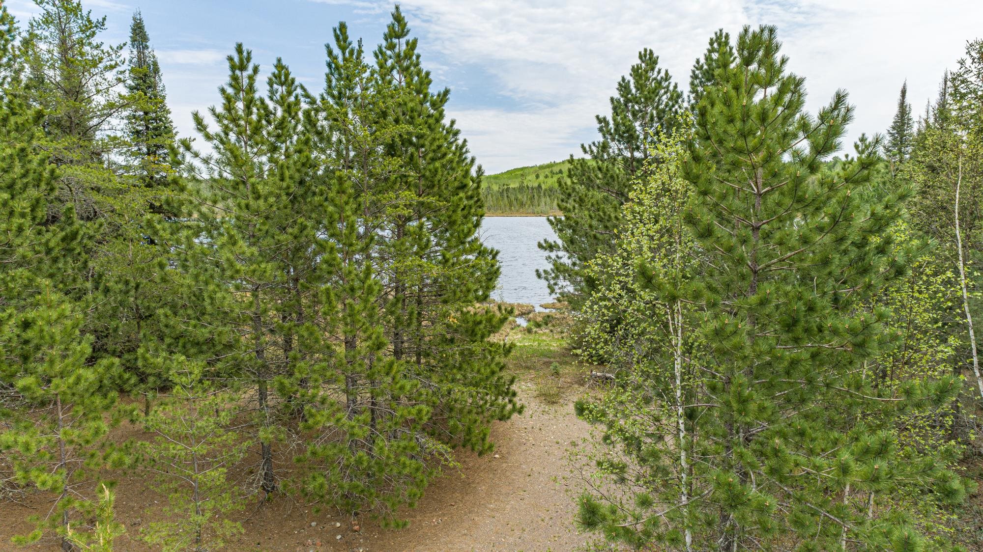 10350 Victor Lake Road Isabella, MN 55607 - Photo 18 of 46