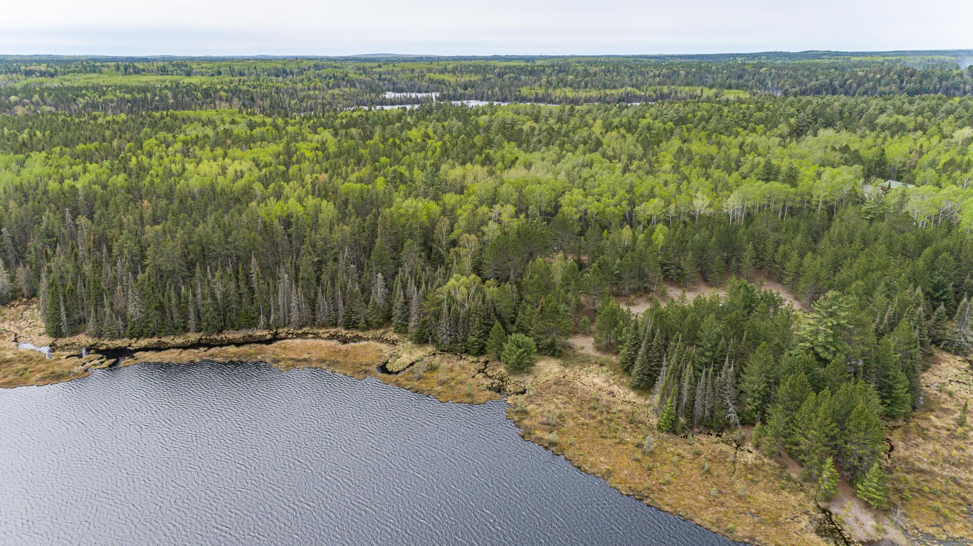 10350 Victor Lake Road Isabella, MN 55607 - Photo 20 of 46