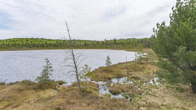 $81,000 | 10350 Victor Lake Road, Isabella, MN 55607