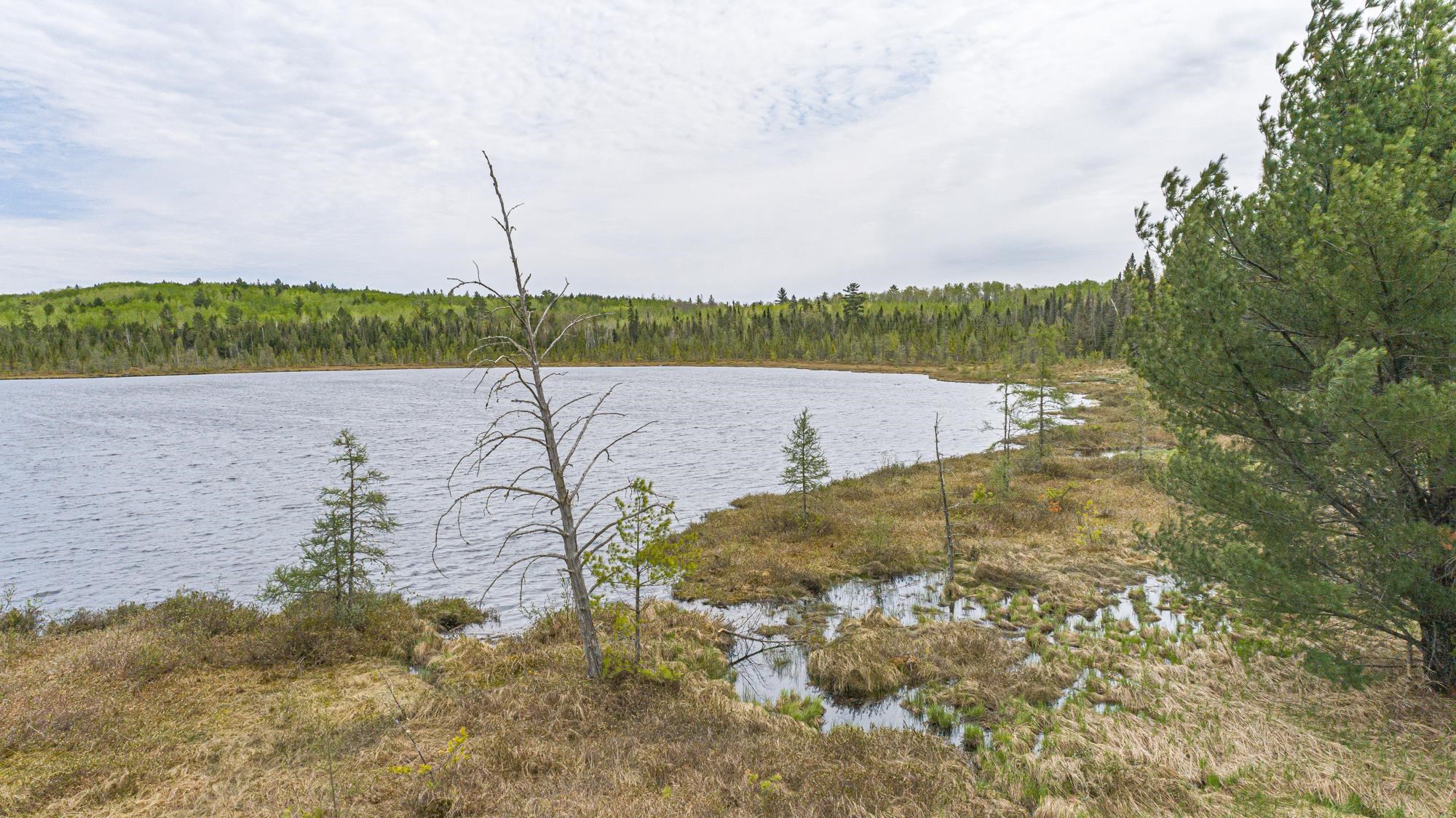 10350 Victor Lake Road Isabella, MN 55607 - Photo 28 of 46