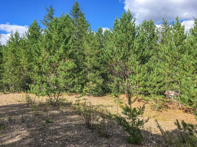 $81,000 | 10350 Victor Lake Road, Isabella, MN 55607