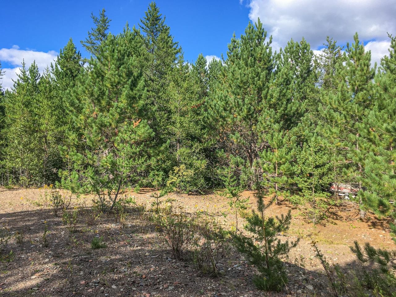 10350 Victor Lake Road Isabella, MN 55607 - Photo 30 of 46