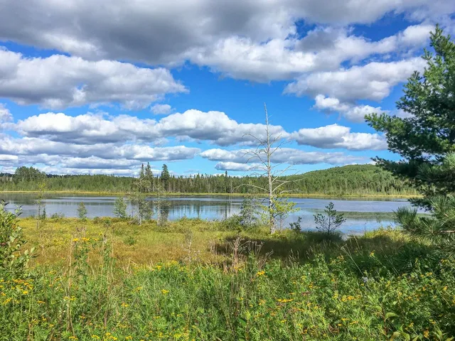 $81,000 | 10350 Victor Lake Road, Isabella, MN 55607