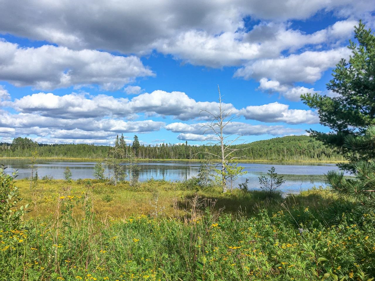 10350 Victor Lake Road Isabella, MN 55607 - Photo 32 of 46