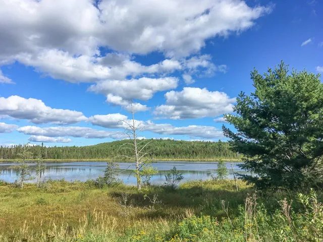 $81,000 | 10350 Victor Lake Road, Isabella, MN 55607