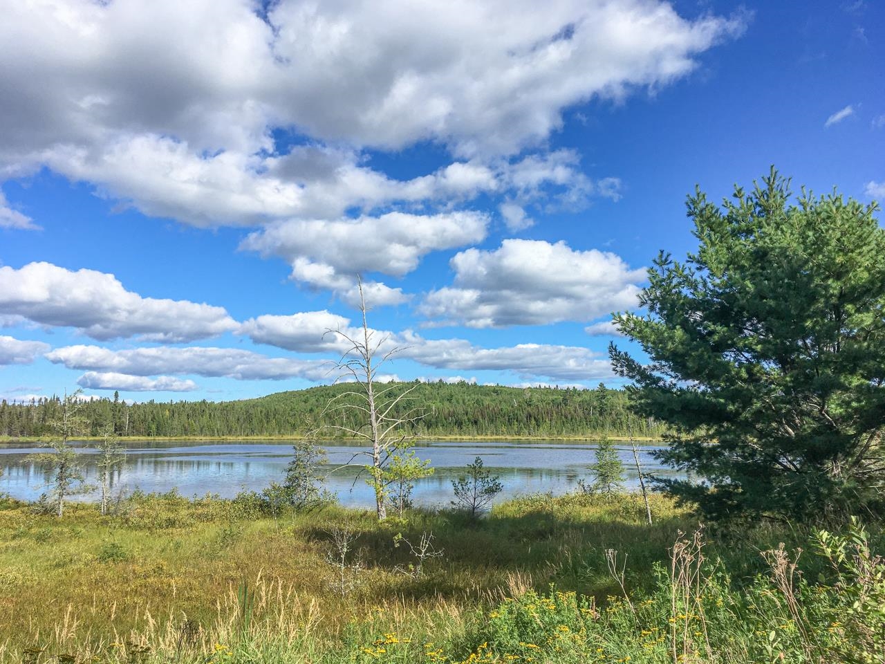 10350 Victor Lake Road Isabella, MN 55607 - Photo 33 of 46