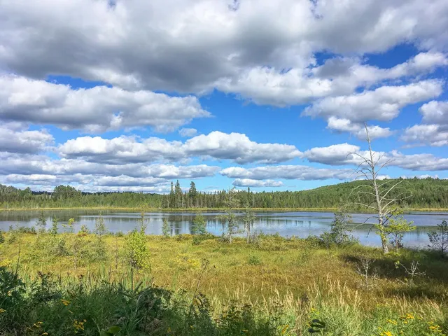 $81,000 | 10350 Victor Lake Road, Isabella, MN 55607