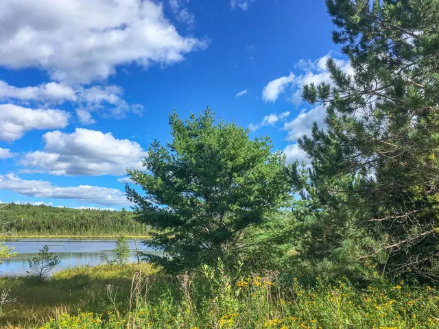 $81,000 | 10350 Victor Lake Road, Isabella, MN 55607