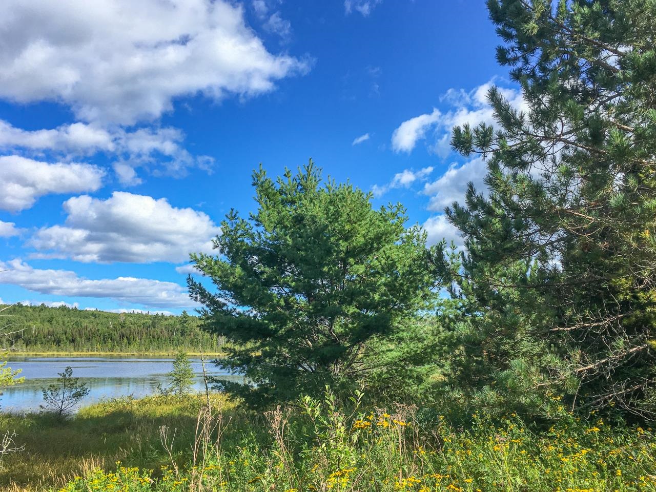 10350 Victor Lake Road Isabella, MN 55607 - Photo 35 of 46