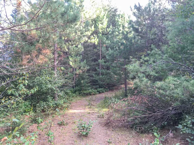 $81,000 | 10350 Victor Lake Road, Isabella, MN 55607