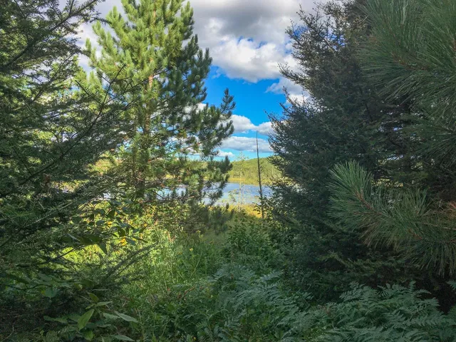 $81,000 | 10350 Victor Lake Road, Isabella, MN 55607