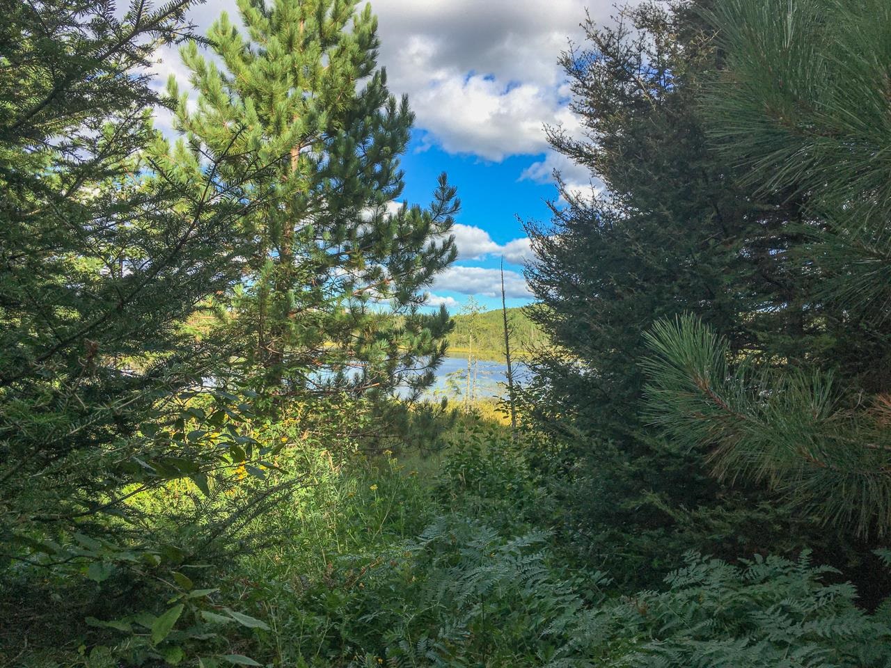 10350 Victor Lake Road Isabella, MN 55607 - Photo 37 of 46