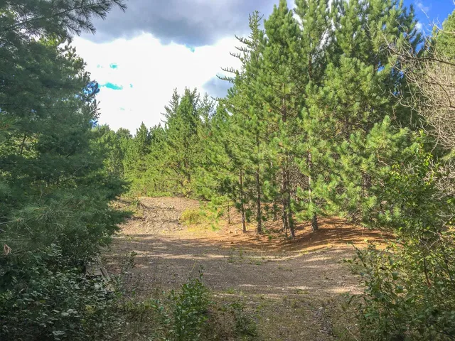 $81,000 | 10350 Victor Lake Road, Isabella, MN 55607