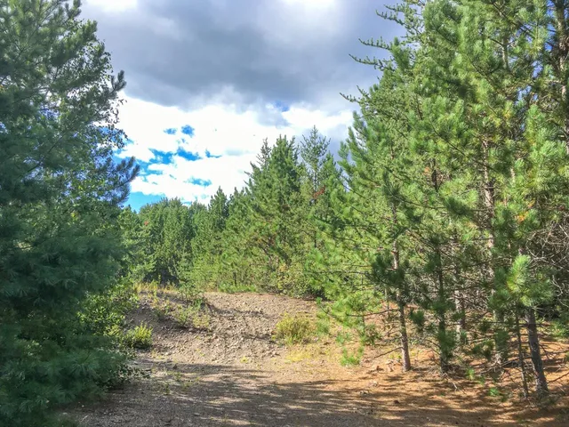 $81,000 | 10350 Victor Lake Road, Isabella, MN 55607