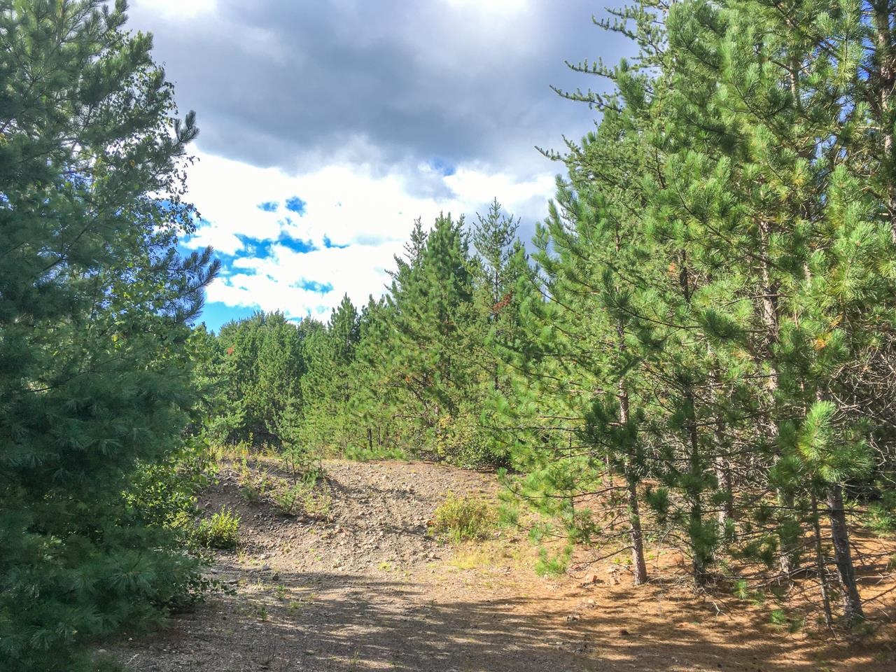 10350 Victor Lake Road Isabella, MN 55607 - Photo 39 of 46