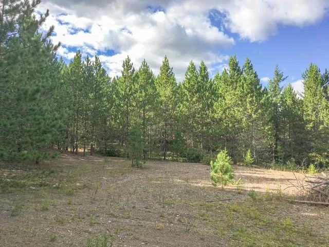 $81,000 | 10350 Victor Lake Road, Isabella, MN 55607