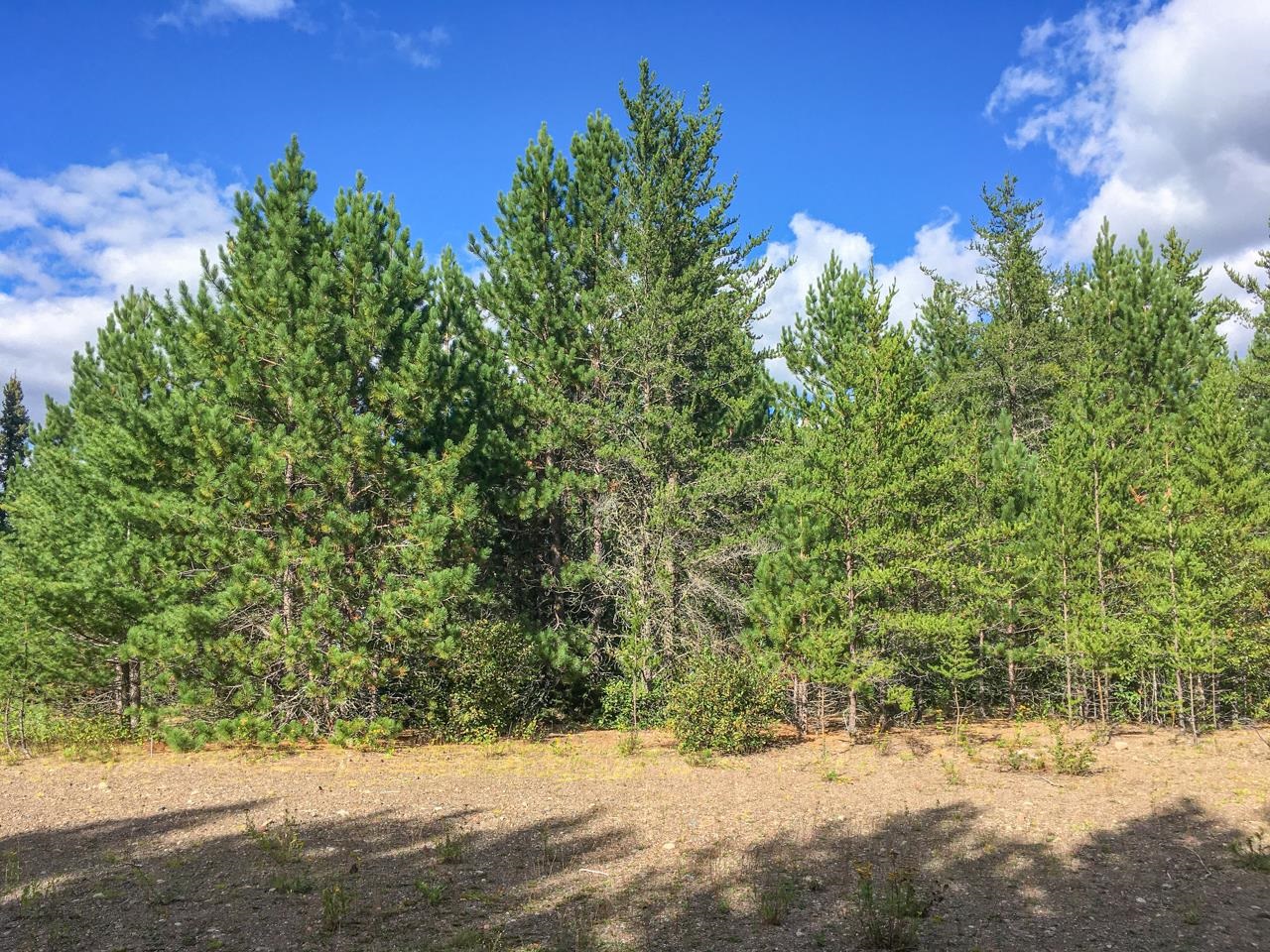 10350 Victor Lake Road Isabella, MN 55607 - Photo 42 of 46