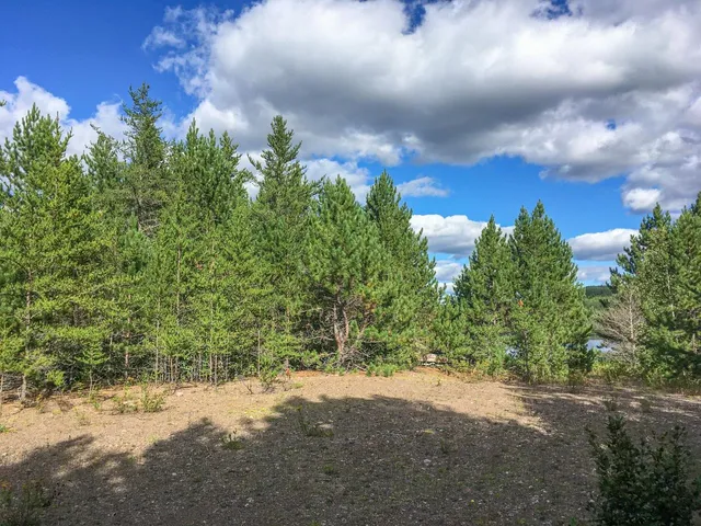 $81,000 | 10350 Victor Lake Road, Isabella, MN 55607