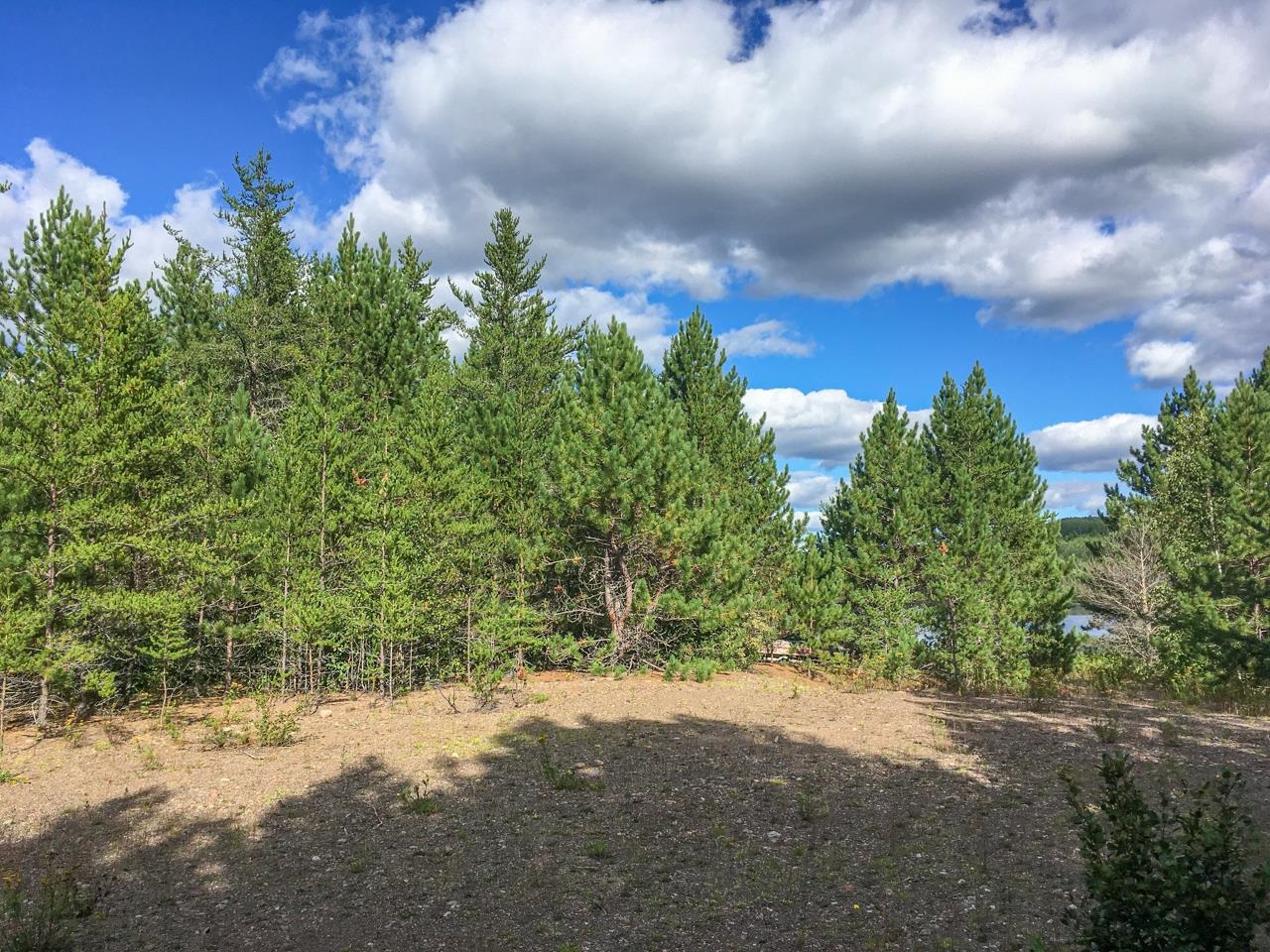 10350 Victor Lake Road Isabella, MN 55607 - Photo 43 of 46